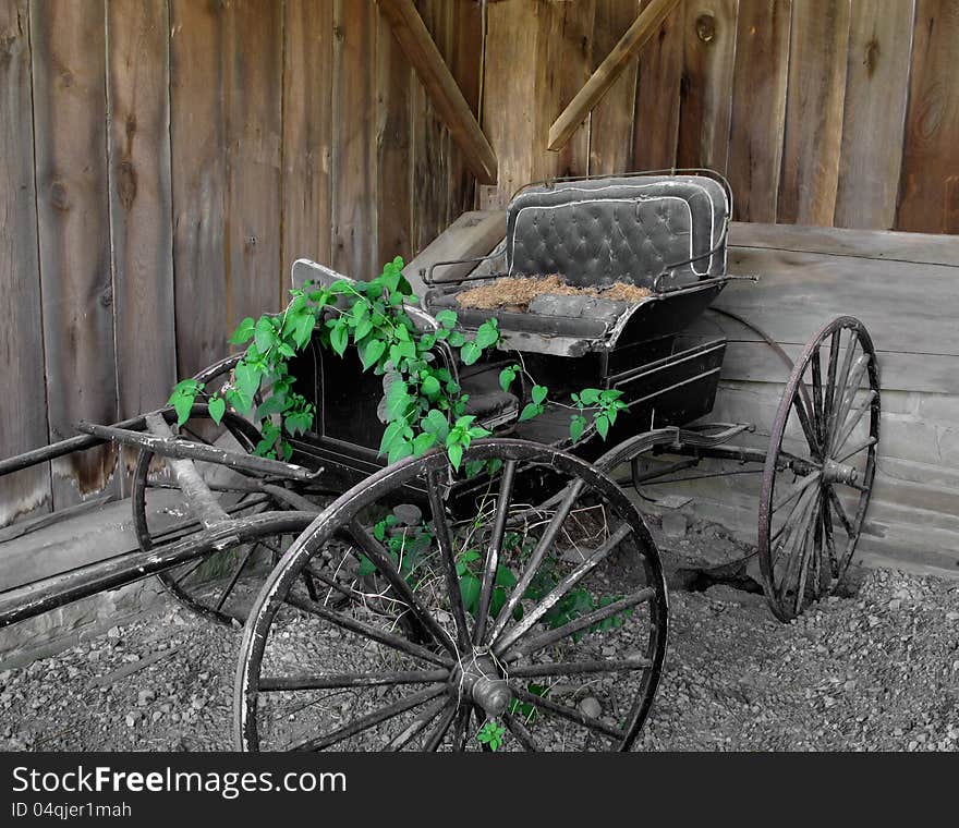 Old and abandoned single horse-drawn two person buggy, often called a doctor’s buggy, sitting in a wooden shed. Old and abandoned single horse-drawn two person buggy, often called a doctor’s buggy, sitting in a wooden shed.