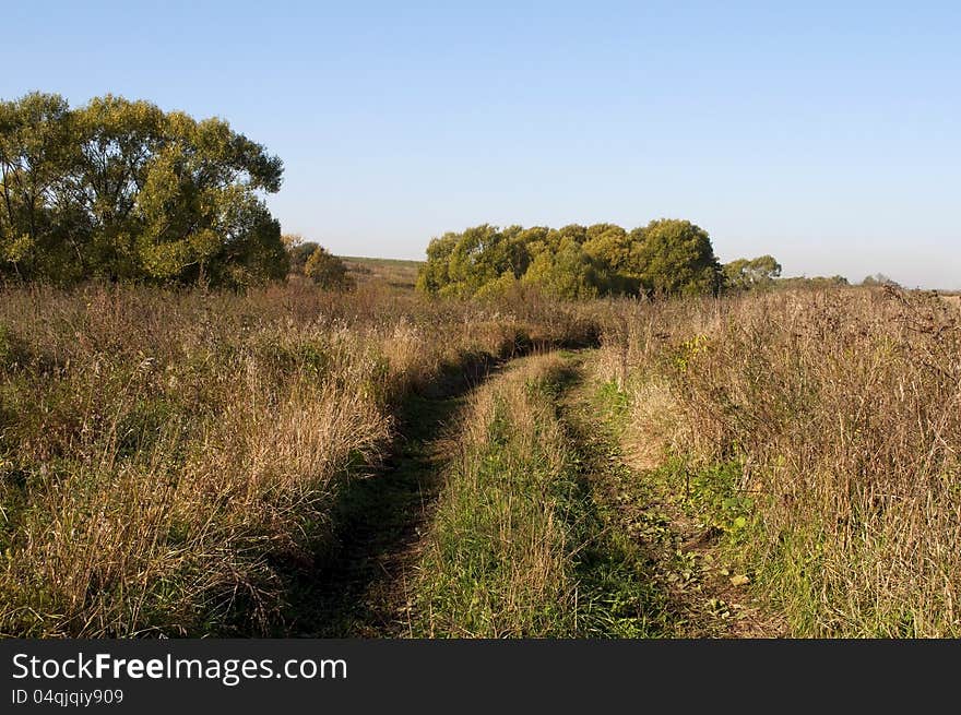 Country dirt road in autumn field on sunny morning. Country dirt road in autumn field on sunny morning