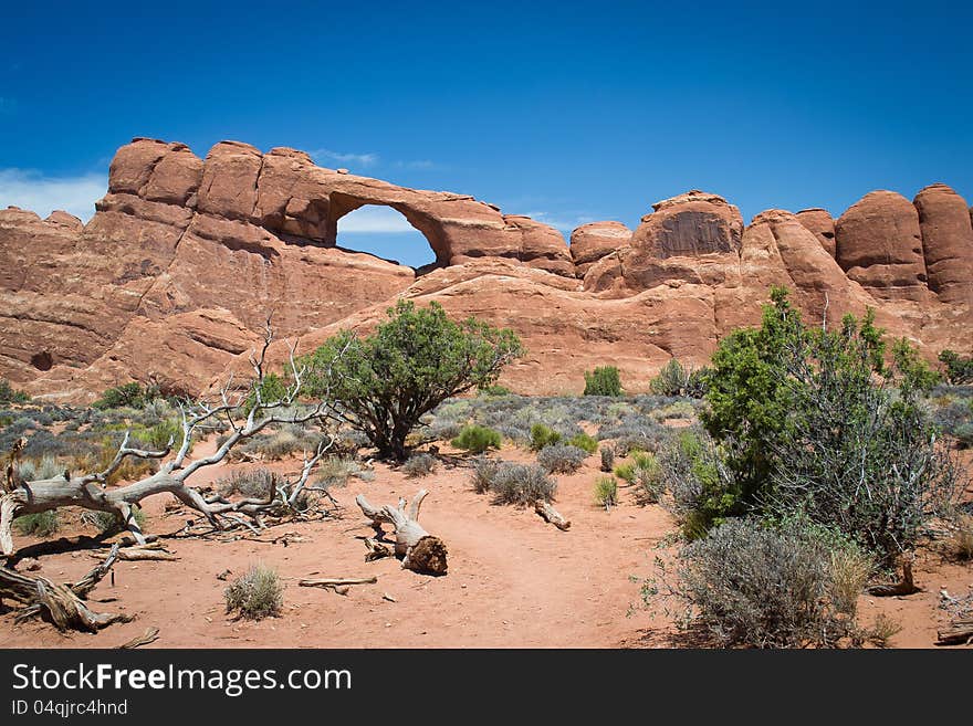 Arches national parck,utah,USA-august 9,2012:view of the national park. Arches national parck,utah,USA-august 9,2012:view of the national park.