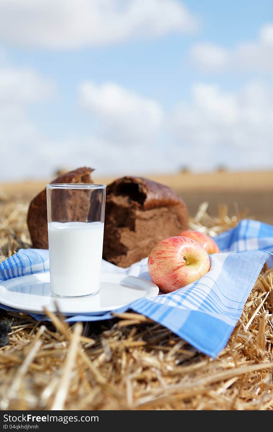 Healthy meal at mown field in autumn