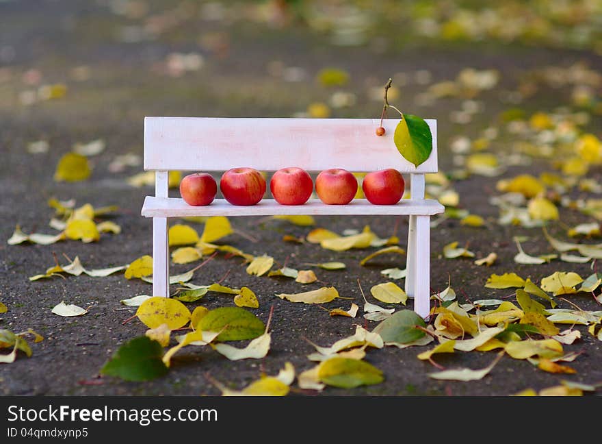 Apples Family on the Bench