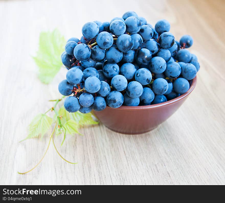 Blue Grape Cluster With Leaves