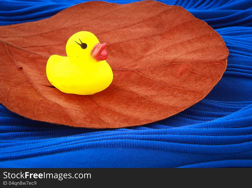 Duck Toy On A Leaf