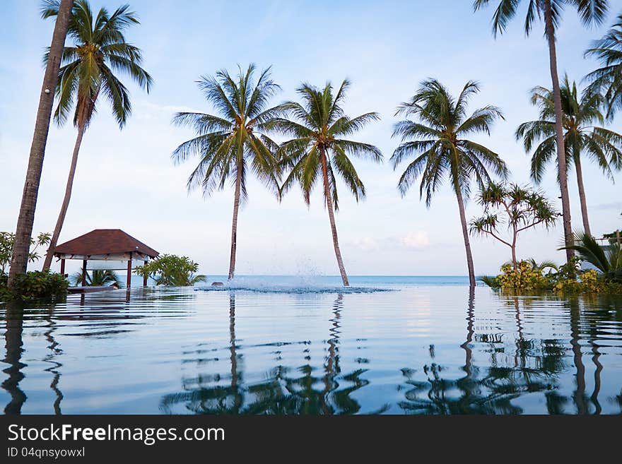 Swimming pool with sea views. Silhouettes of palm trees at sunset. Swimming pool with sea views. Silhouettes of palm trees at sunset.