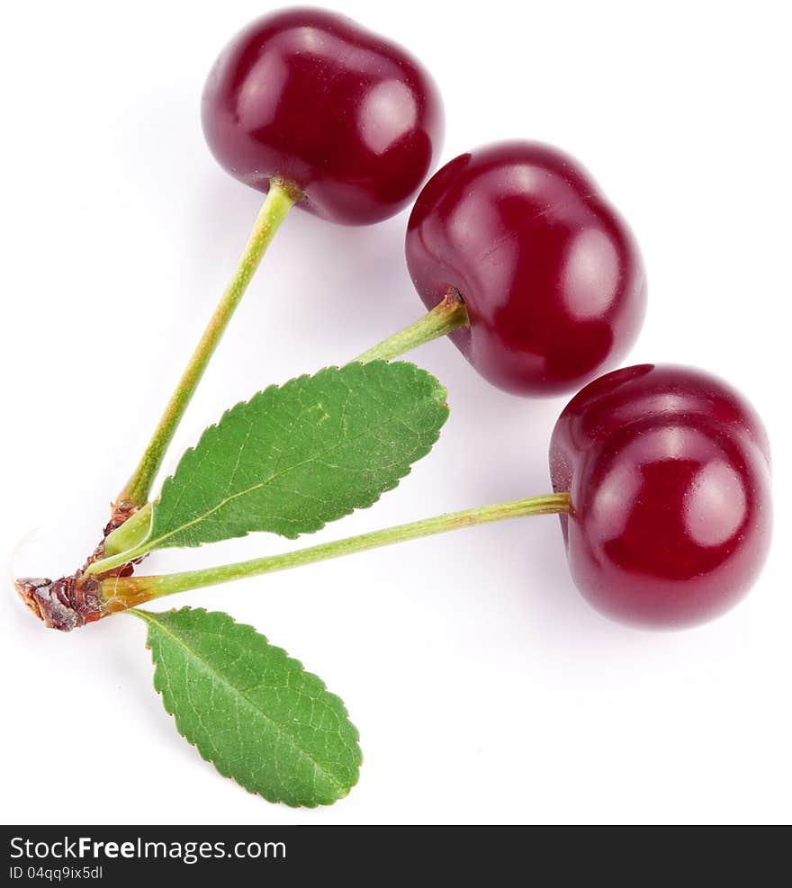 Cherries with leaves on a white background.