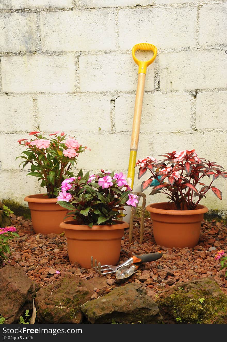 Colorful garden of potted plants in front of a rustic cinder block wall.