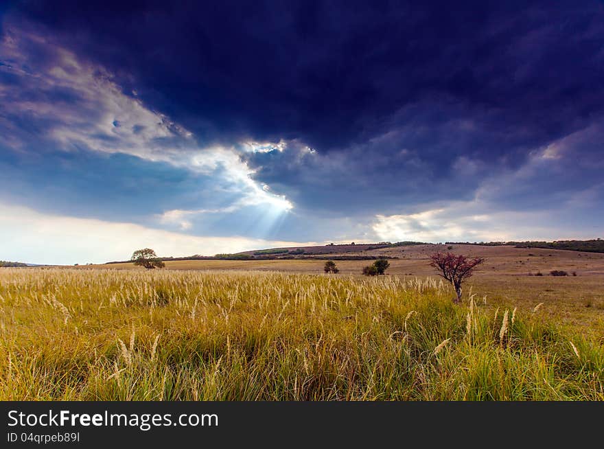 Autumn rural scenery with wide field and stormy sky and lonely tree in Eastern Eastern Europe. Autumn rural scenery with wide field and stormy sky and lonely tree in Eastern Eastern Europe