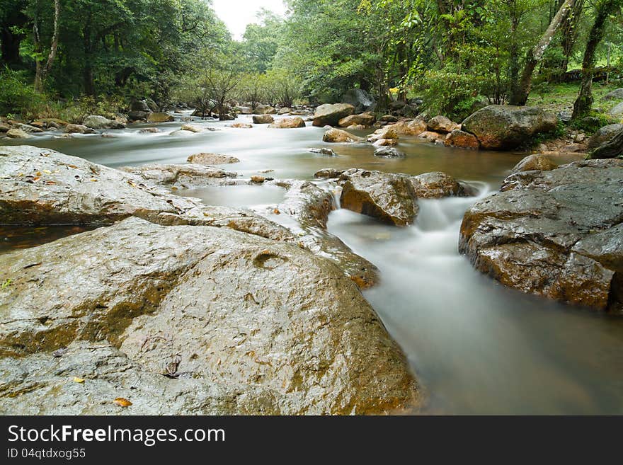 Water stream in rainforest after rain fall. Water stream in rainforest after rain fall.