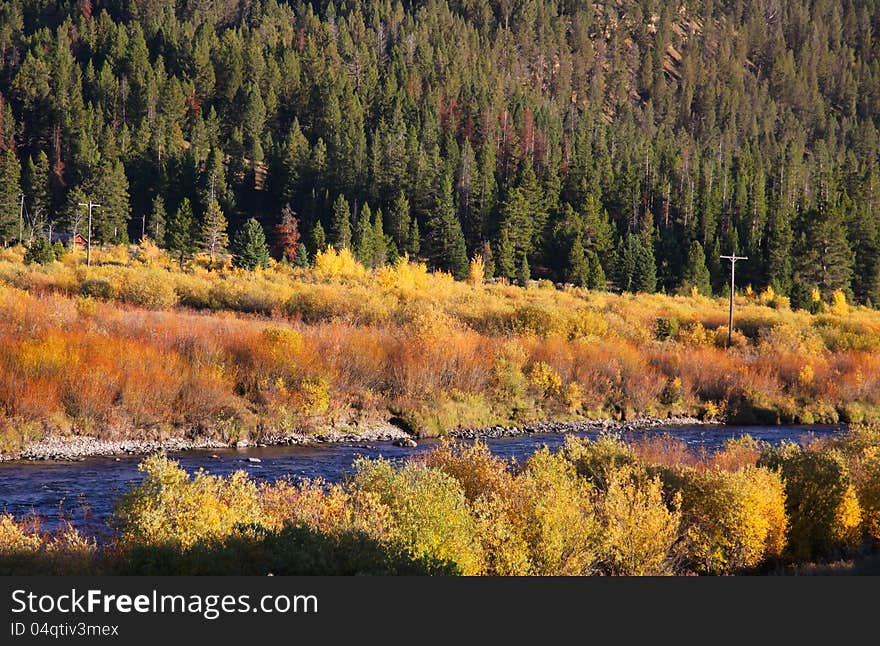 Beautiful autumn scene in Yellowstone. Beautiful autumn scene in Yellowstone