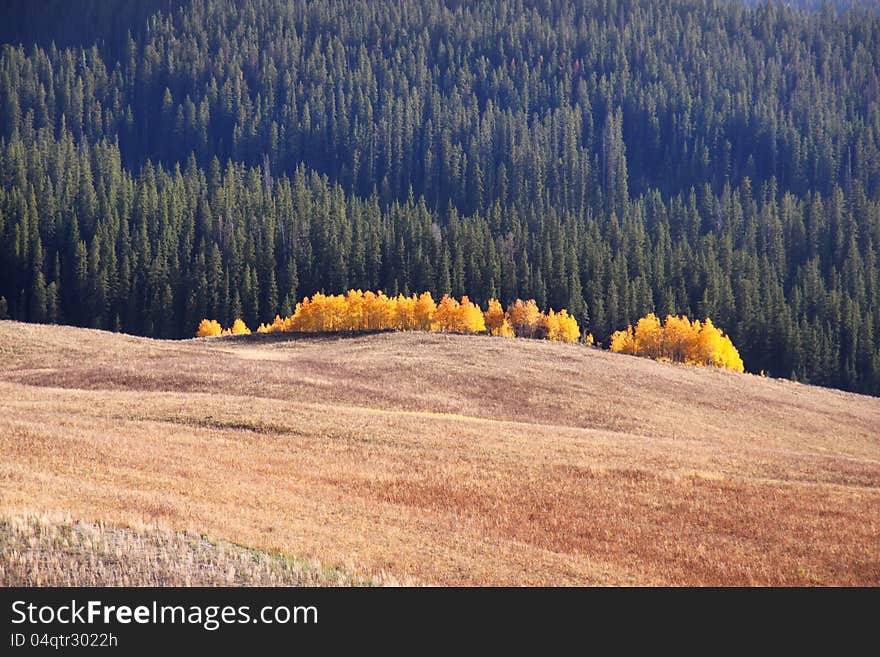 October In Yellowstone