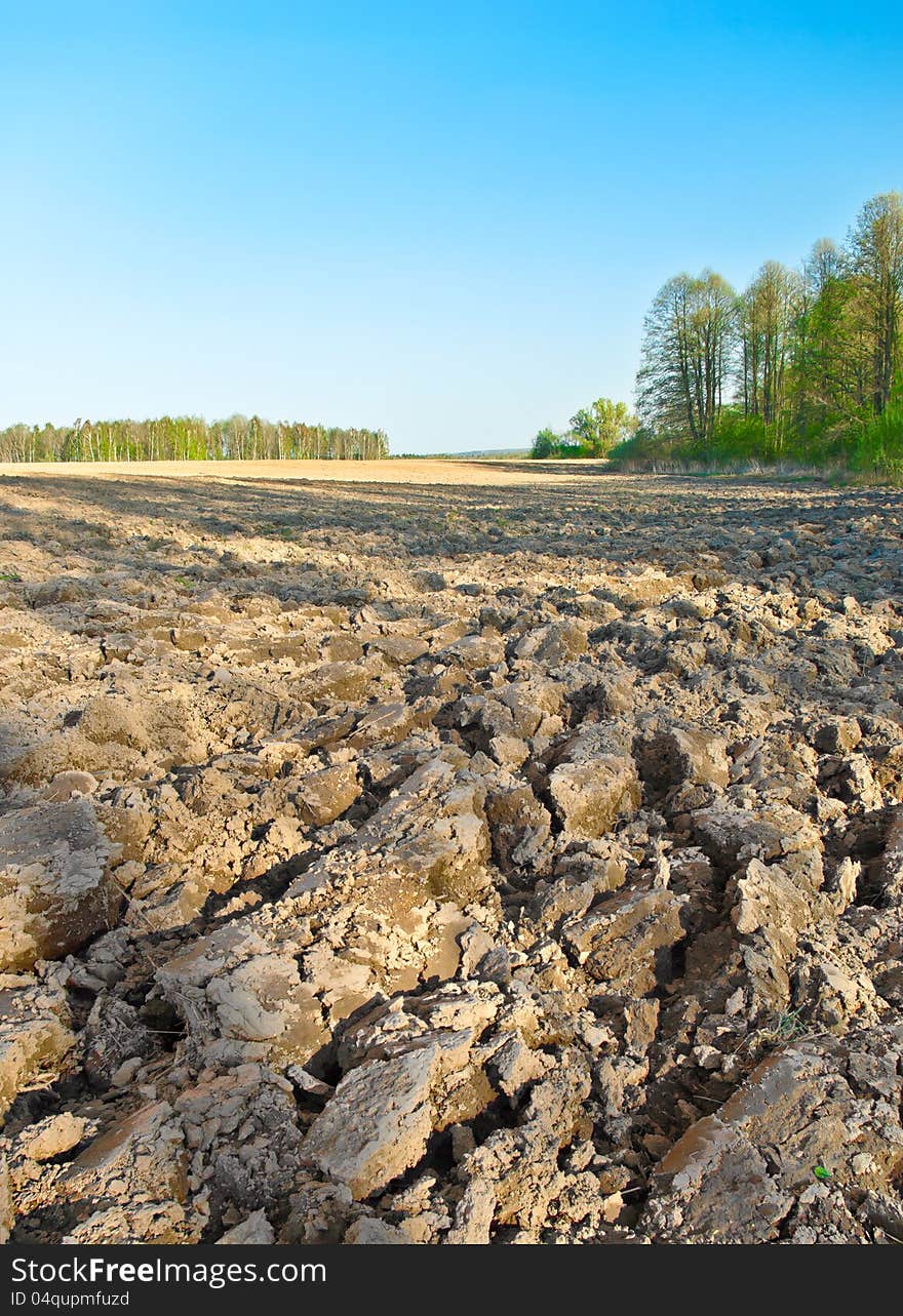 The Plowed Field