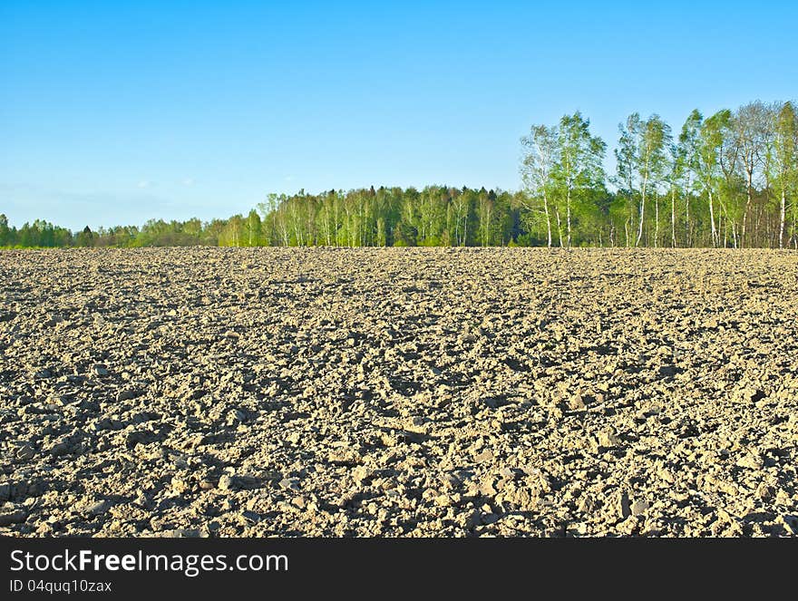 The plowed field