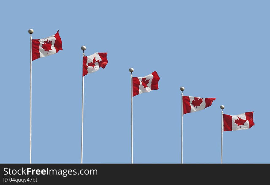 Five Canadian flags on flagpoles waving in the breeze, with room for copy and text. Isolated against a blue sky. Five Canadian flags on flagpoles waving in the breeze, with room for copy and text. Isolated against a blue sky.