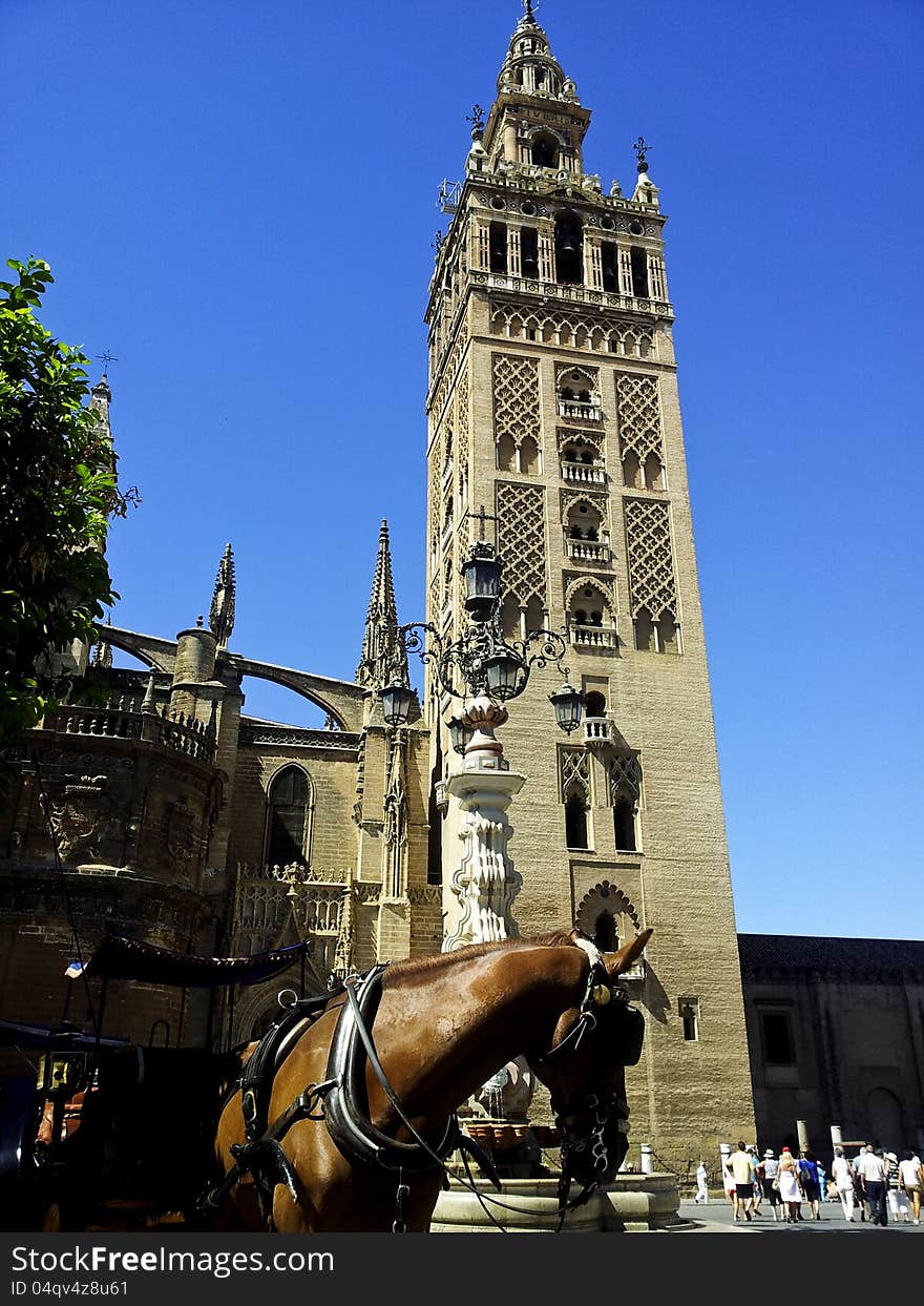 The bell tower of the Cathedral of Seville,Spain. The bell tower of the Cathedral of Seville,Spain