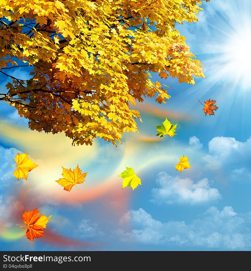 Autumn, abstract natural backgrounds for your design