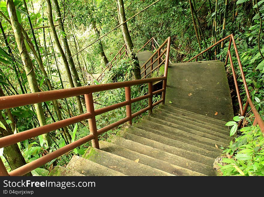 Stone ladder in national park, Khao Yai,Thailand