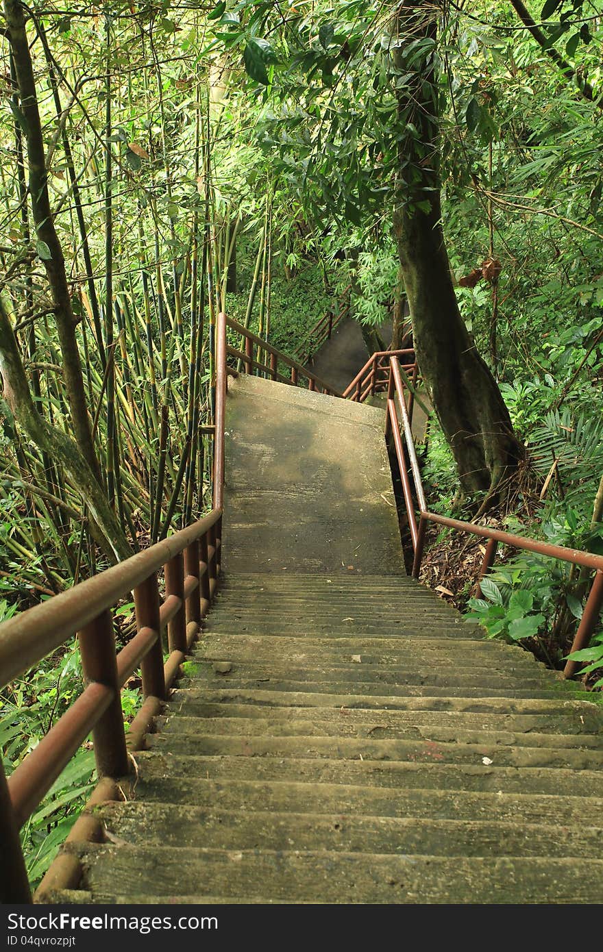 Stone ladder in national park, Khao Yai,Thailand