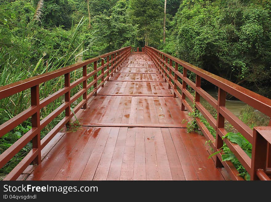 Footbridge in national park, Khao Yai,Thailand