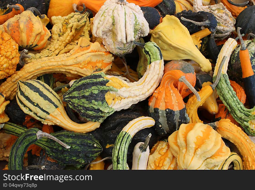 Several shapes,sizes and colors of seasonal gourds welcome in Fall at the local farmer's market. Several shapes,sizes and colors of seasonal gourds welcome in Fall at the local farmer's market.