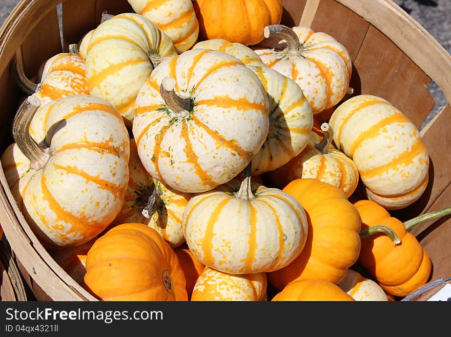 Wooden basket of colorful fall gourds