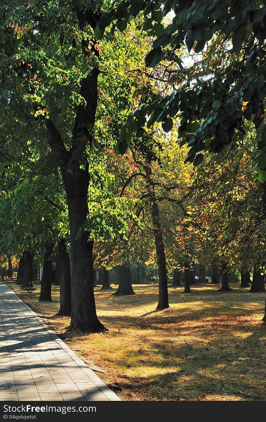 Path in Autumn Park