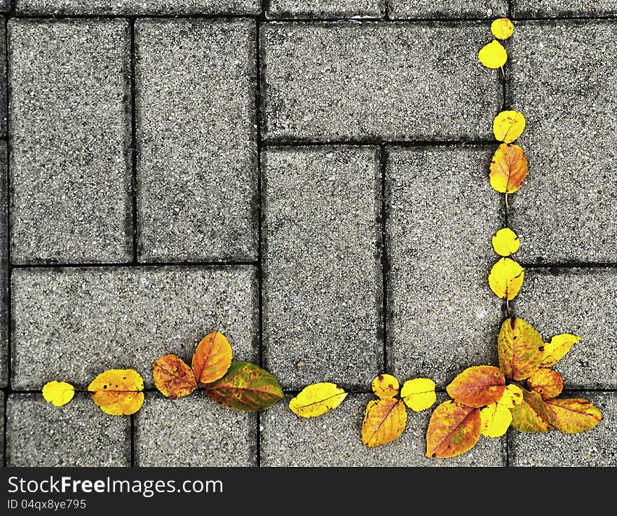 Autumn background yellow leaf trees