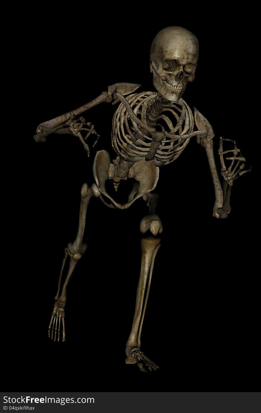 A skeleton in a pose for halloween. A skeleton in a pose for halloween