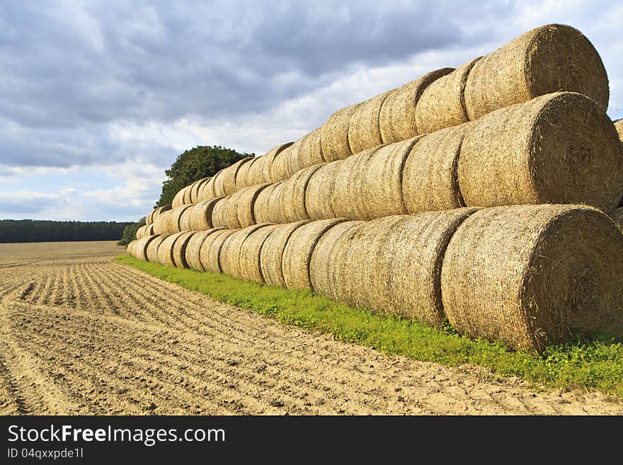 Golden Hay Bales in the countryside