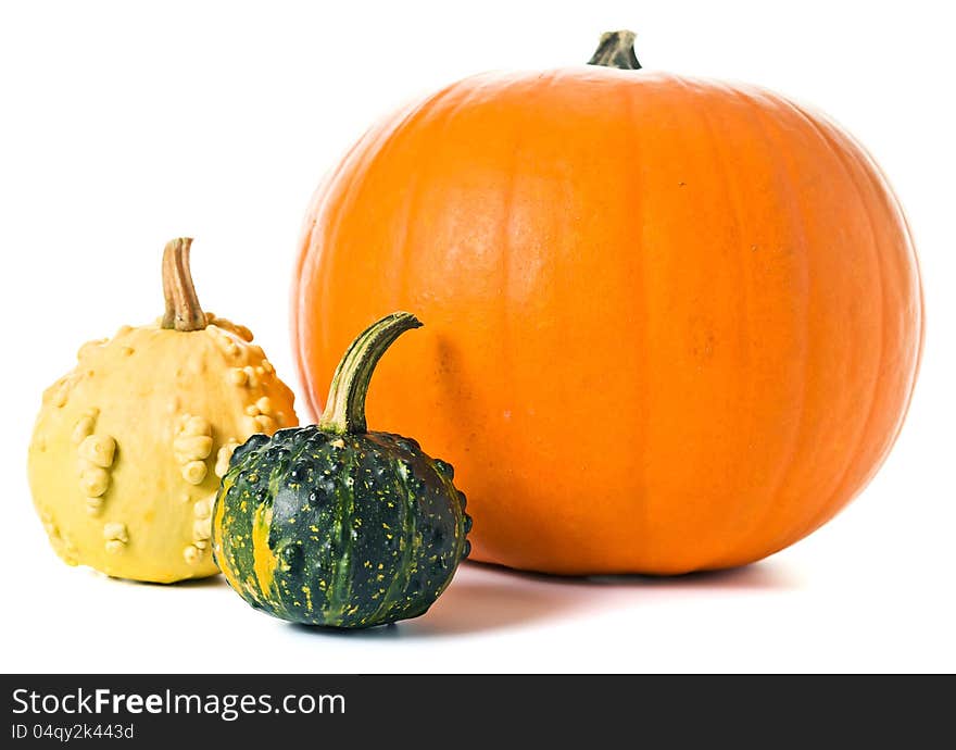 Pumpkins  on a white background