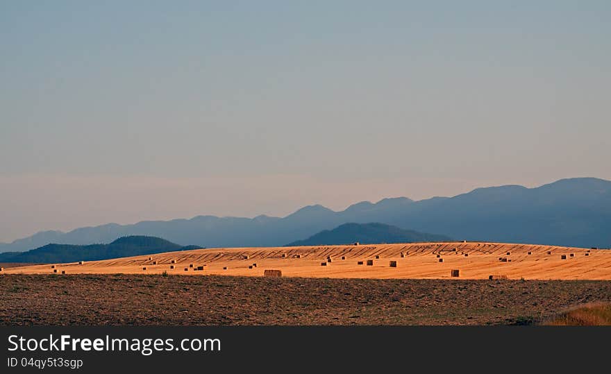 This image of the harvested hay field glistening in the evening sunlight with the mountains in the background was taken in NW Montana. This image of the harvested hay field glistening in the evening sunlight with the mountains in the background was taken in NW Montana.