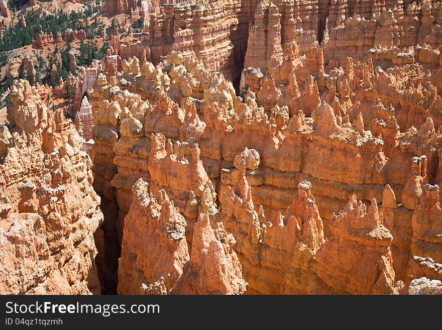 View of the bryce canyon