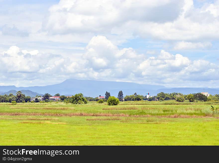 Scene of countryside with mountain background.,Nakornnayok,thailand.