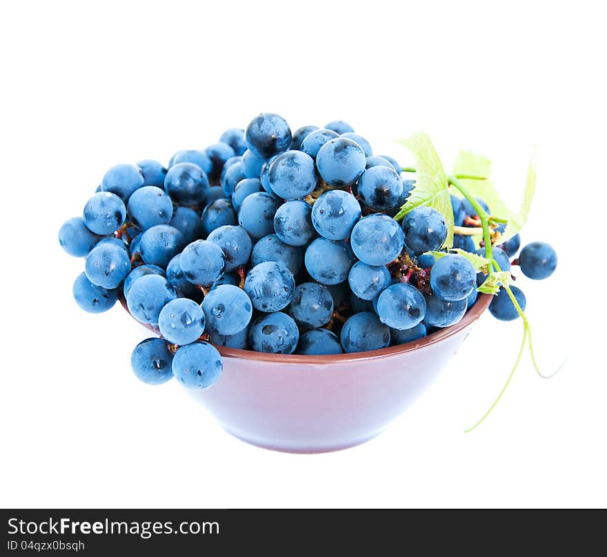 Fresh blue grape cluster with leaves on a white background. Fresh blue grape cluster with leaves on a white background