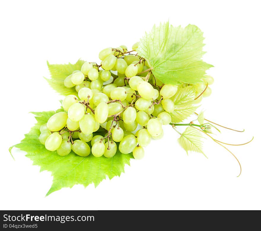 Grape cluster