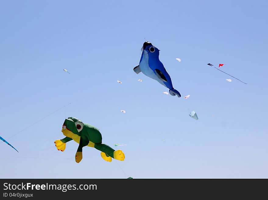 Fly Kites