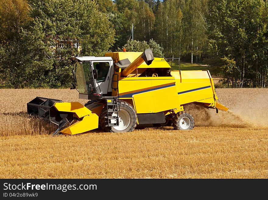 Combine harvester in wheat field