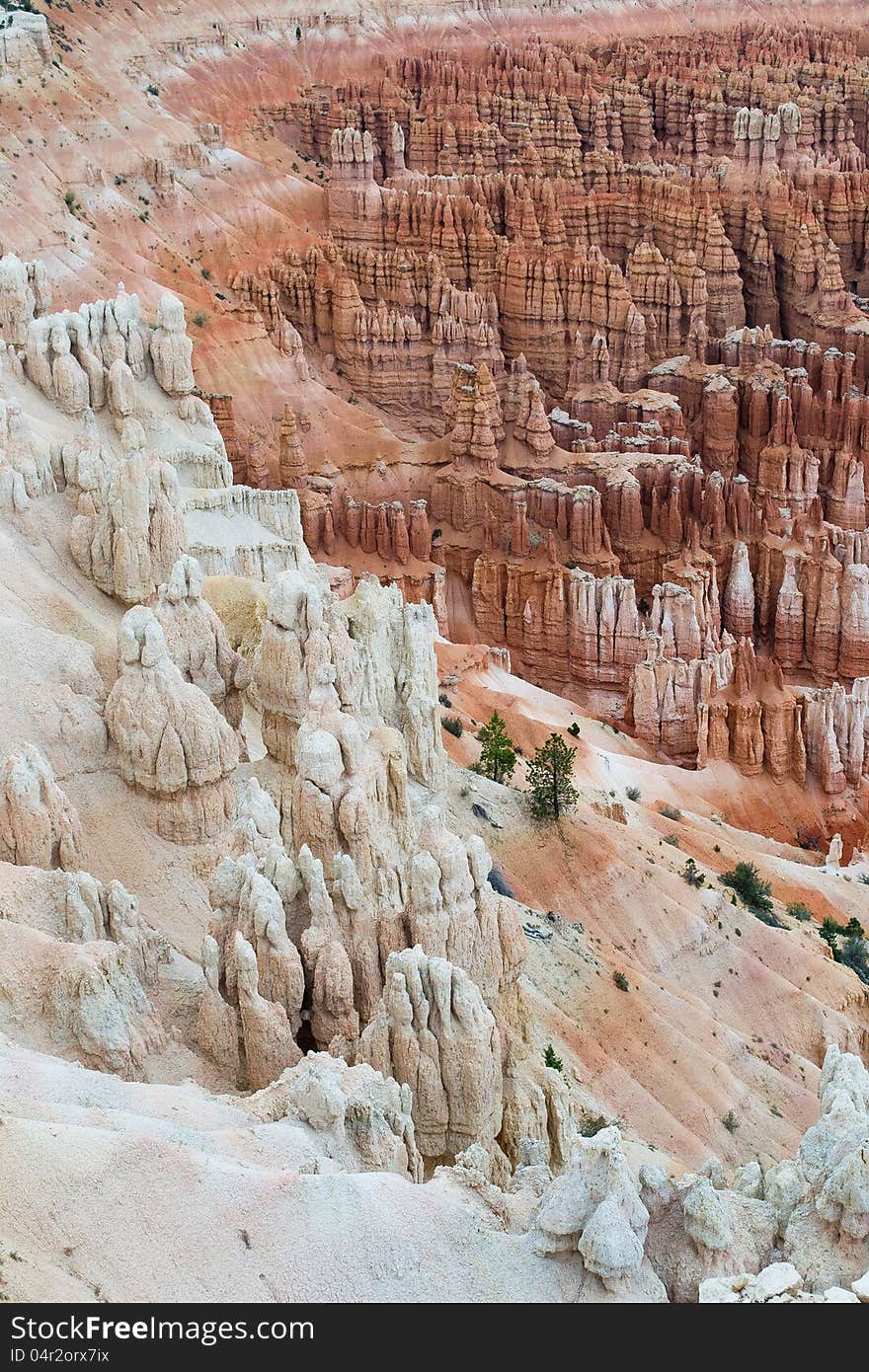 Bryce canyon,utah,USA-august 10,2012:view of the bryce canyon