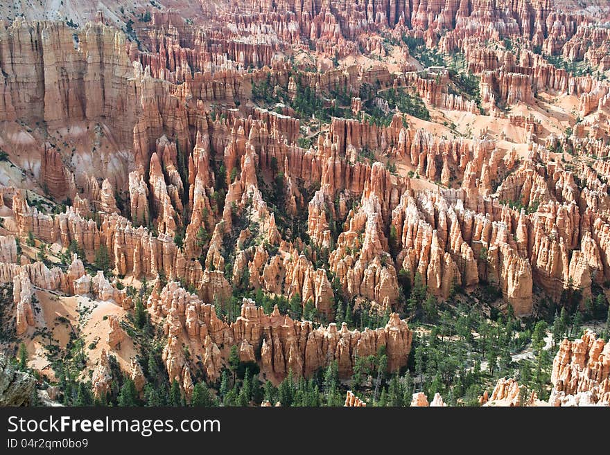 Bryce canyon,utah,USA-august 10,2012:view of the bryce canyon
