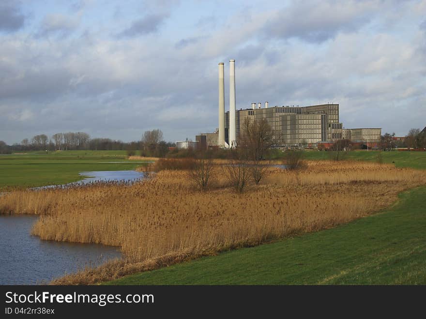 Behind a field of reed there is a power station. Behind a field of reed there is a power station