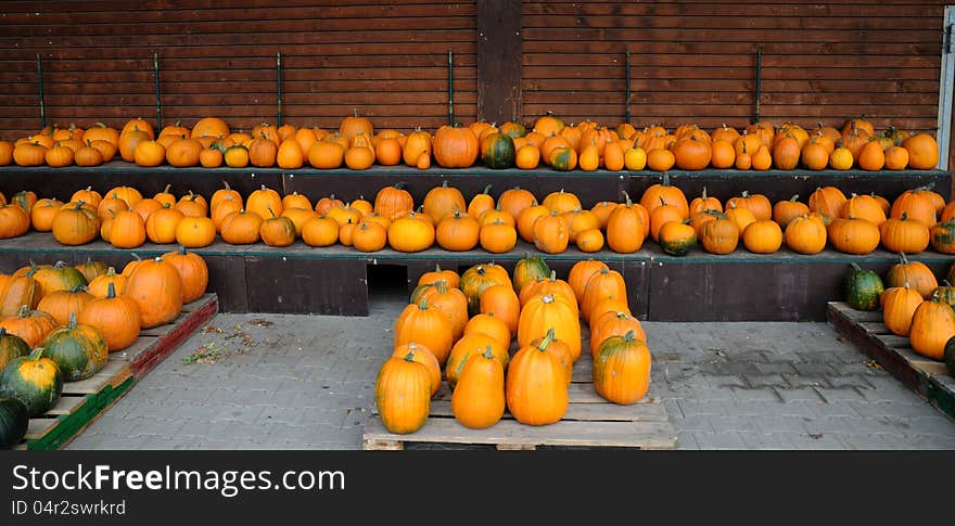 Pumpkins on a farmers market in Germany. Pumpkins on a farmers market in Germany