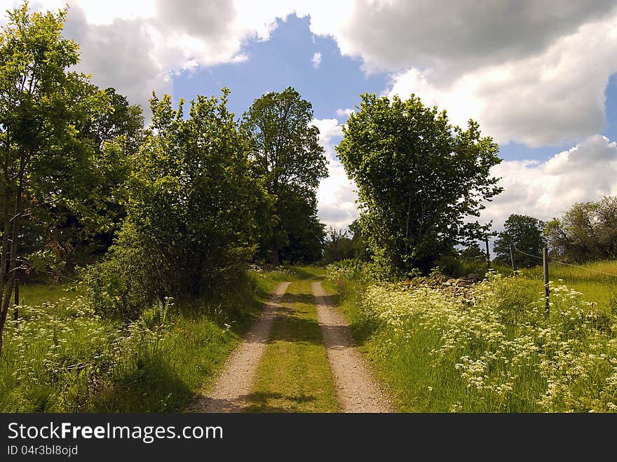 Summer path