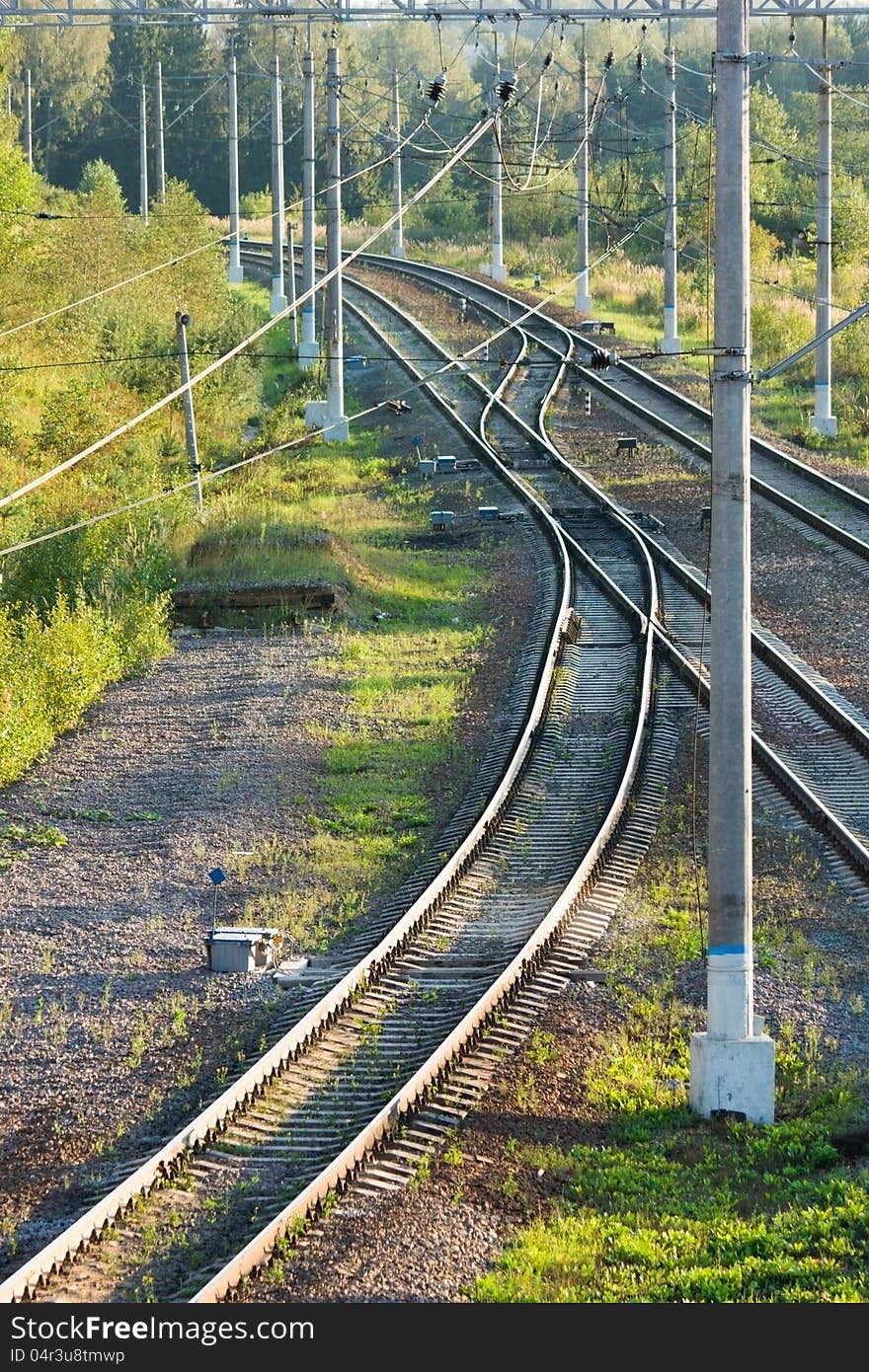 Railroad tracks in forest vertical view