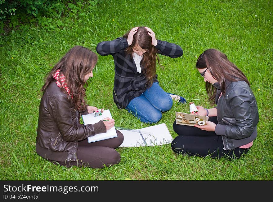 Schoolgirls learning intensive on a grass