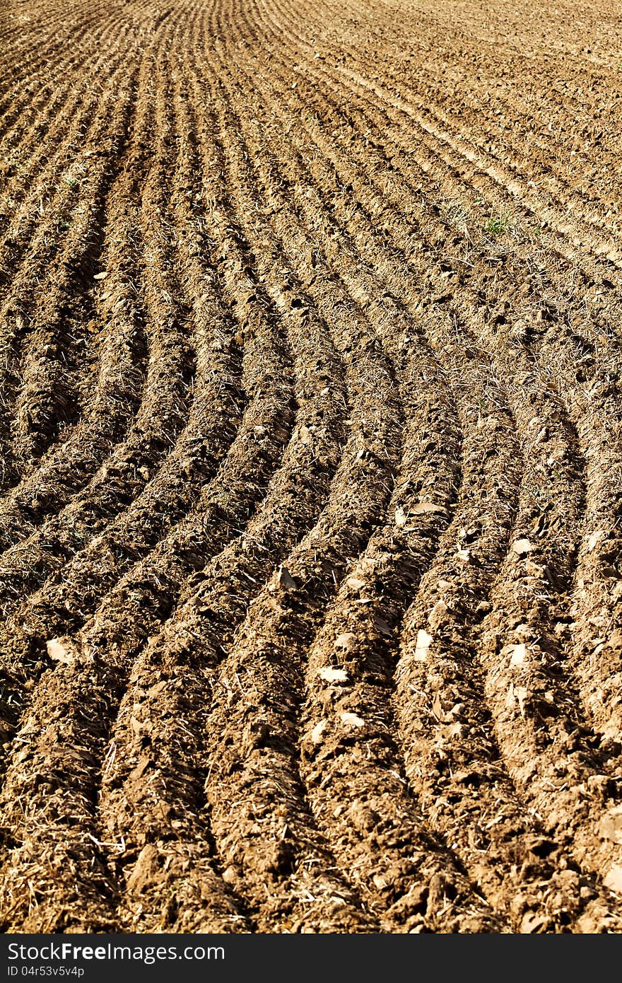 Plowed field in autumn on a sunny day