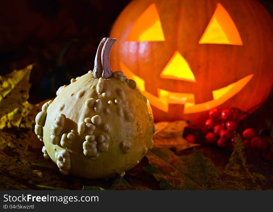 Still-life with pumpkins and the fallen down yellow leaves