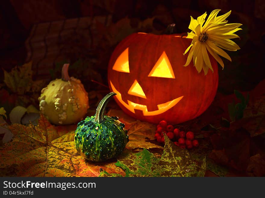 Still-life With Pumpkins