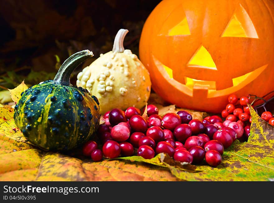 Still-life with pumpkins and cranberry on a yellow leaves