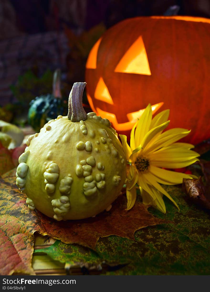 Still-life with pumpkins and the fallen down yellow leaves