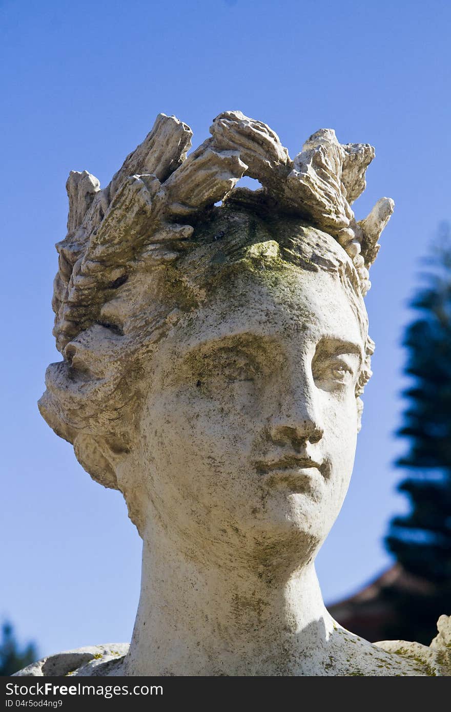 Close up view of a stone head of a Roman statue. Close up view of a stone head of a Roman statue.