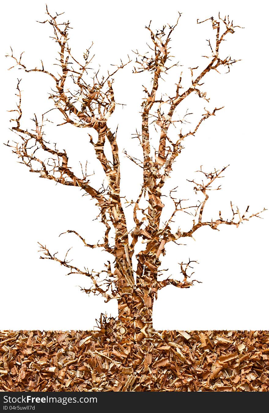 Abstract Isolates Of Sawdust In The Dry Tree.